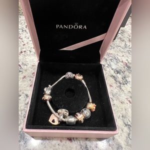 Beautiful Pandora bracket! Price is a steal.